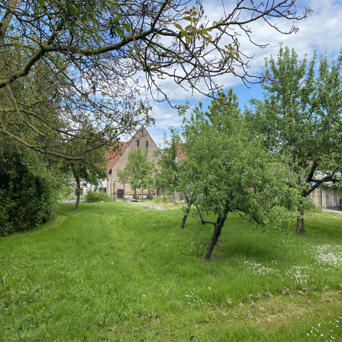 Offres de vente Maison Lorentzen (67430)