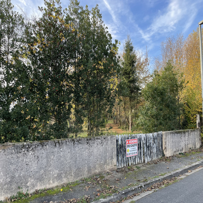 Offres de vente Terrain Sarrebourg (57400)
