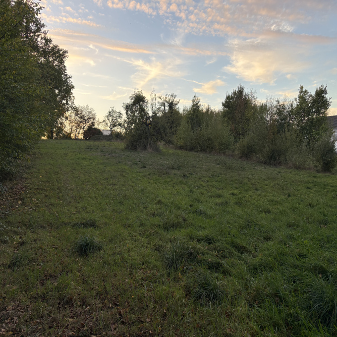 Offres de vente Terrain Brouderdorff (57565)