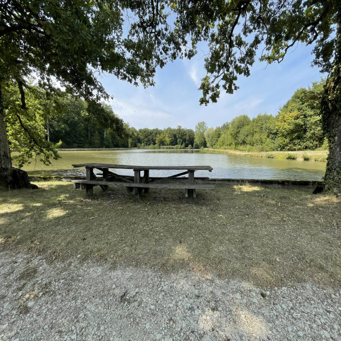 Offres de vente Terrain de loisir Bébing (57830)