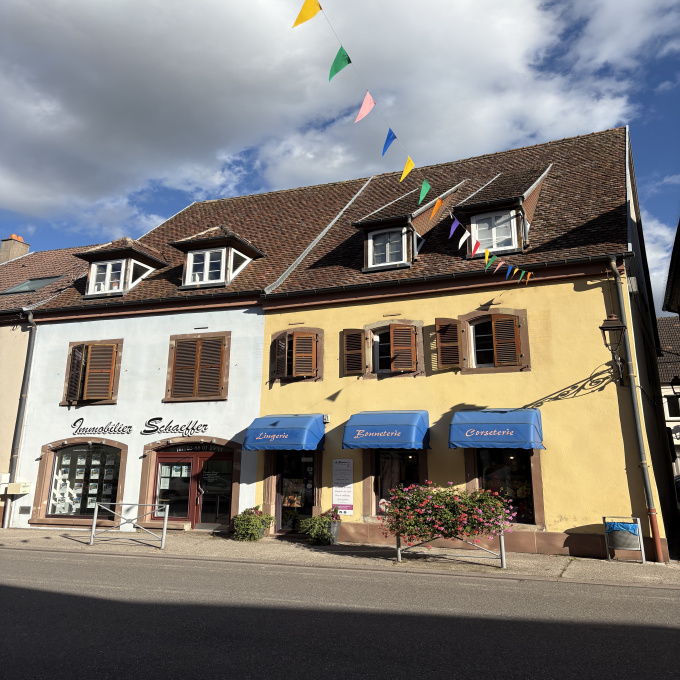Offres de vente Maison Diemeringen (67430)